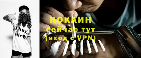 ешки Осинники
