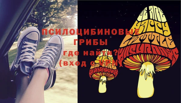 МДПВ Осташков