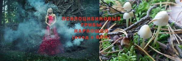 МДПВ Осташков