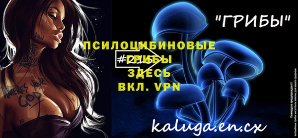 МДПВ Осташков