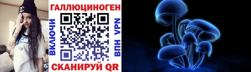 Купить  Суджа  Галлюциногенные грибы Magic Shrooms 