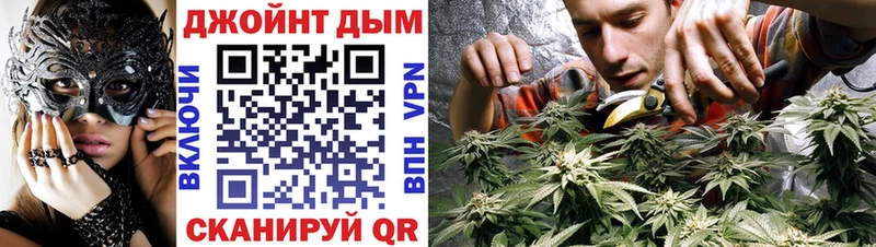 Каннабис MAZAR  Купить где  Суджа 